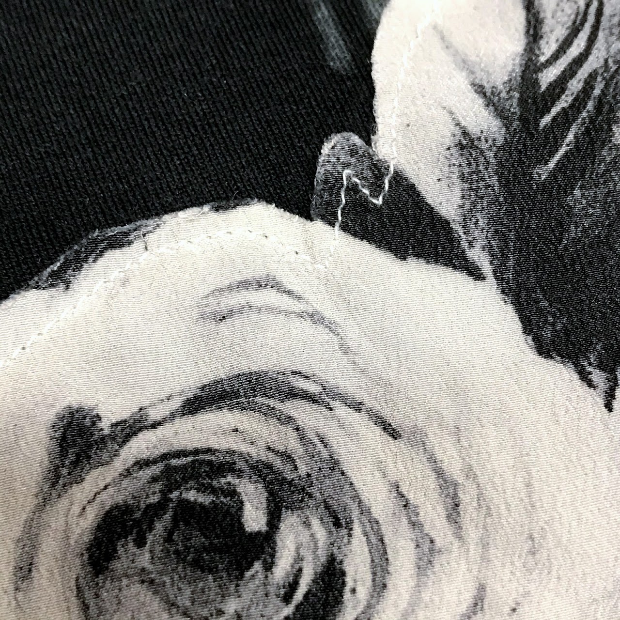 Dolce & Gabbana James Dean Graphic Tee Shirt