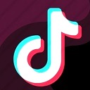 View PRIVATE TikTok Accounts/Profiles 2021 Chrome extension download