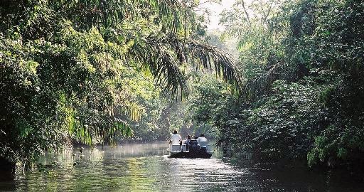 Tortuguero National Park, Limón Province