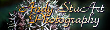 Visit Andy StuArt Photography