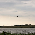 20140630_Fishing_Bochanytsia_045.jpg