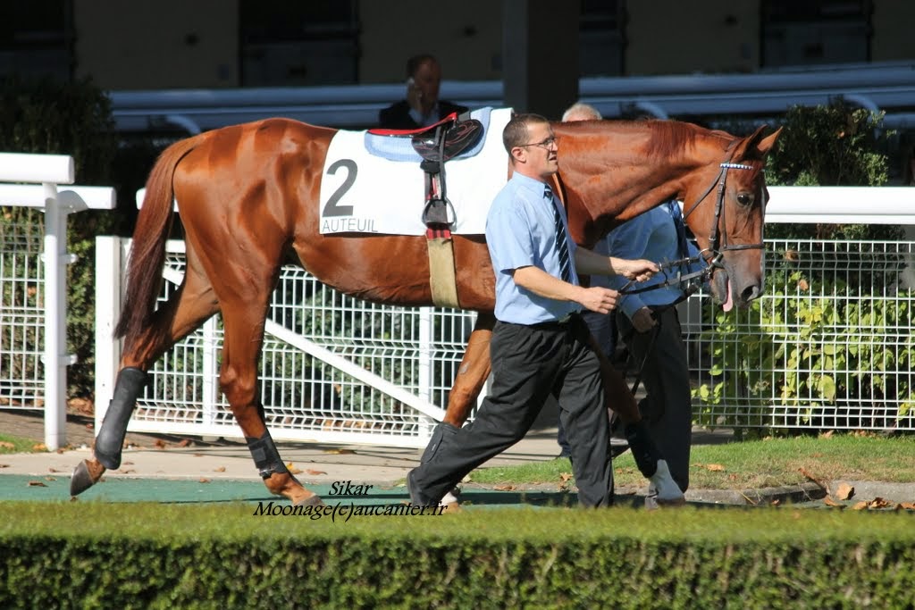 Photos Auteuil le 27-09-2014 IMG_4524