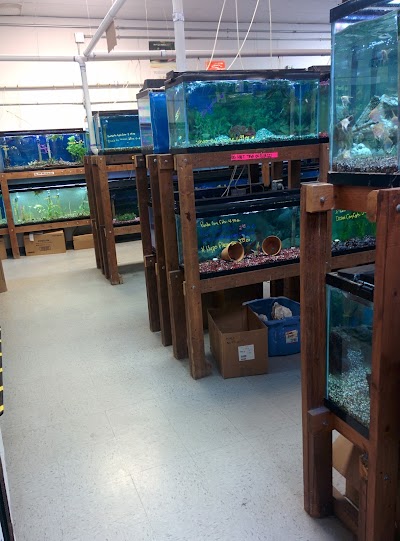 Photos of Pet's Playhouse