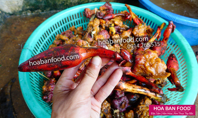 Nấm Ngọc Cẩu tươi | HOA BAN FOOD™