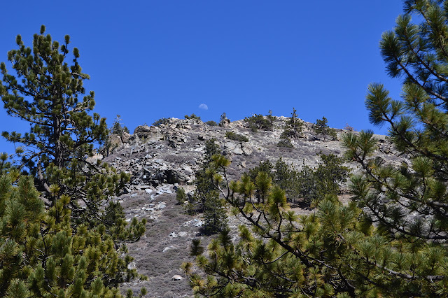 half a moon rising over the Pinos edge