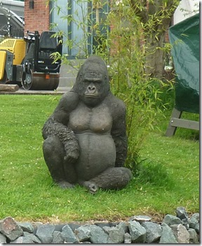 8 gorilla in the garden