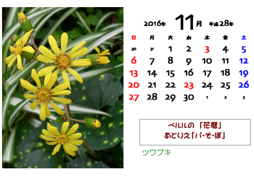 2016年11月　花暦