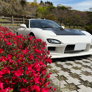 RX-7 FD3S 中期