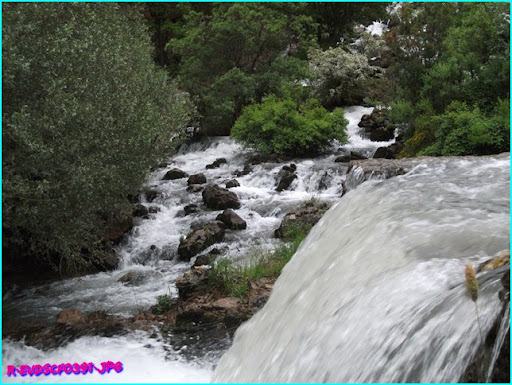 DSCF0391.JPG