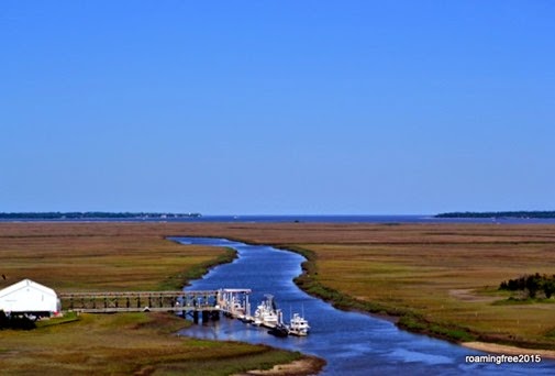 Intercoastal