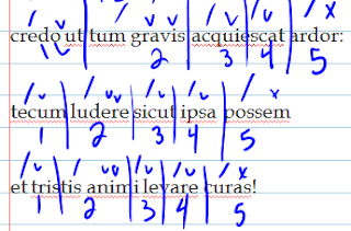 hendecasyllabic scansion