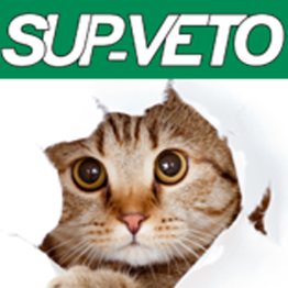 Sup Veto Orléans logo