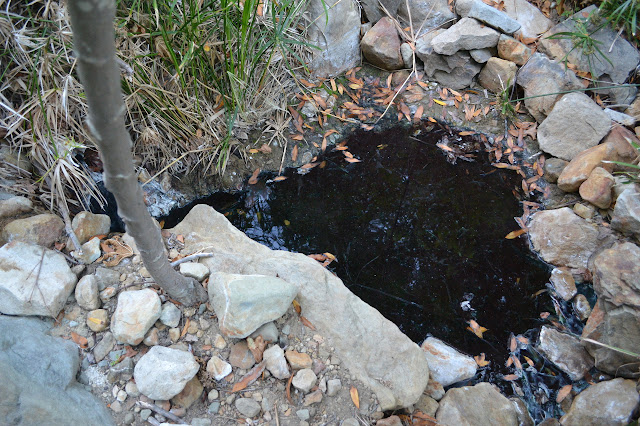 shallow and hot pool of water