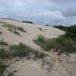 Sand Dunes near Stewart and Lloyds campground