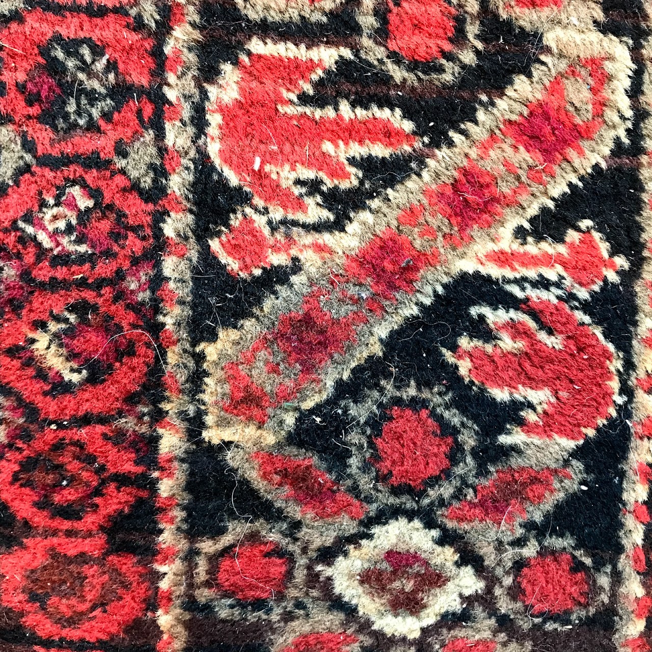 Couristan Wool Area Rug