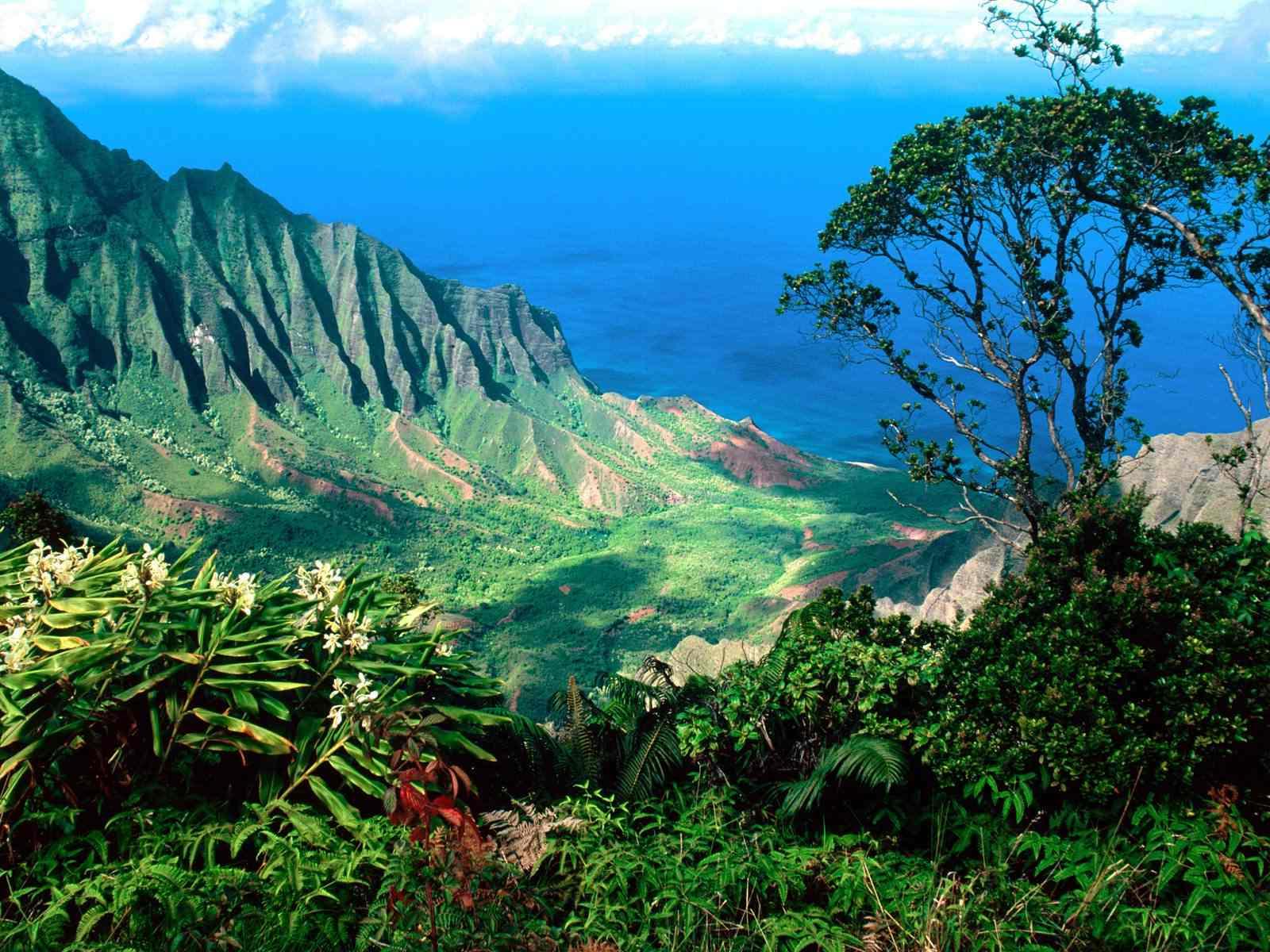 Hawaii, the country of