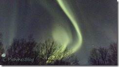 Tromso y sus auroras boreales - Blogs de Noruega - Trineo con huskies y Auroras Boreales se dejarán ver? (8)