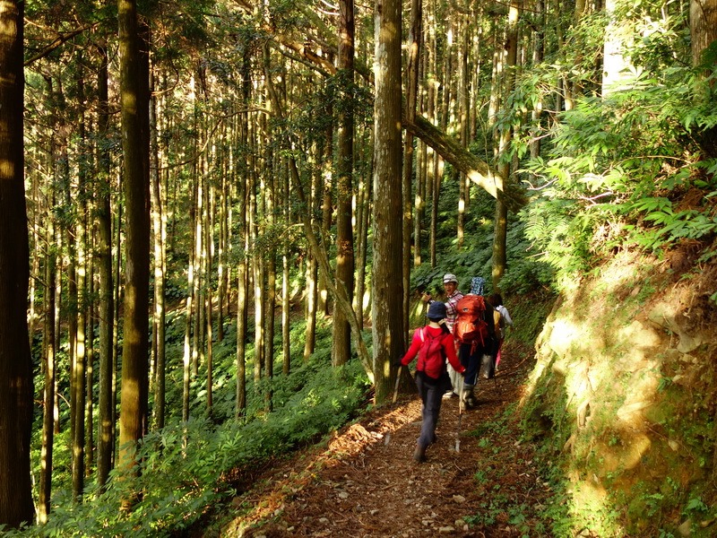 2013_1207 東滿步道→拉卡山→北插天山水源地_201