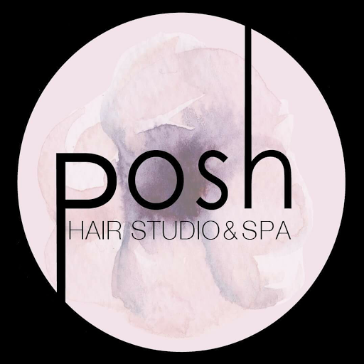 Posh Hair Studio & Spa logo