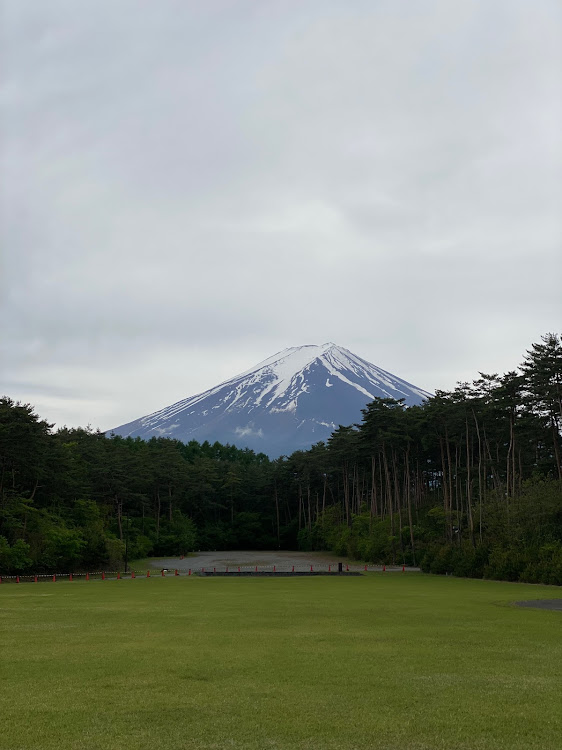 の投稿画像4枚目