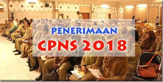 penerimaan cpns 2018