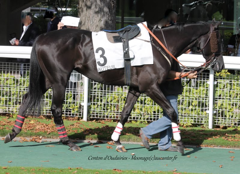 Photos Auteuil 26-09-2015 IMG_4126