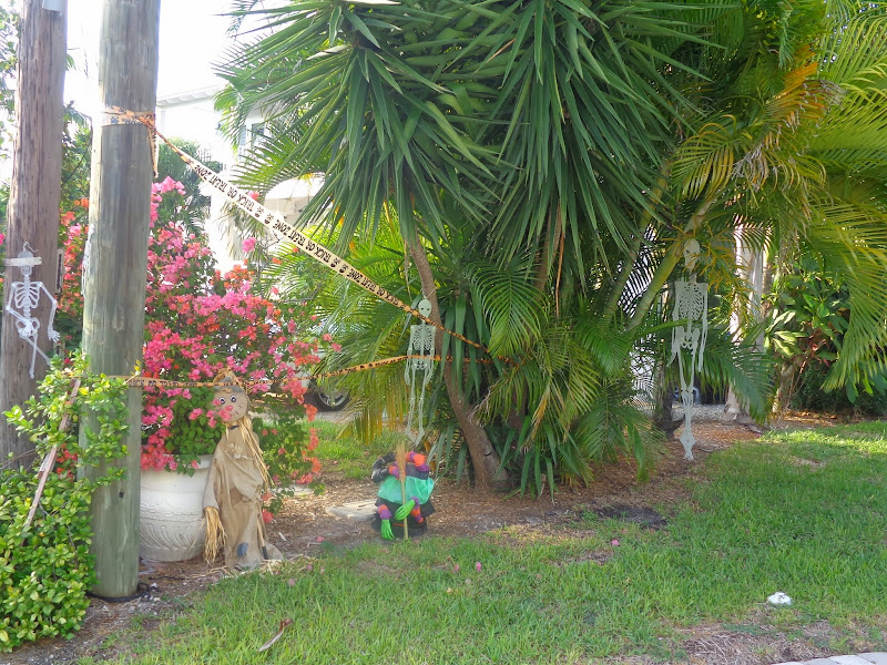 Честное октябрятское, на Евродаме можно жить! Октябрь 2013, круиз по Карибам