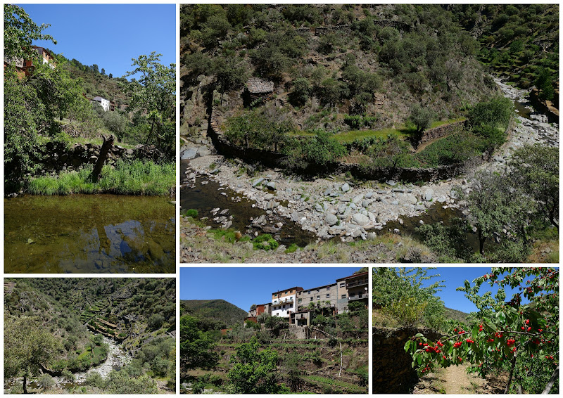 Recorriendo Extremadura. Mis rutas por Cáceres y Badajoz - Blogs of Spain - Las Hurdes (Cáceres). Extremadura en verde y agua. (30)