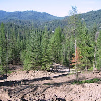 Land & Road Development, Hayden Lake