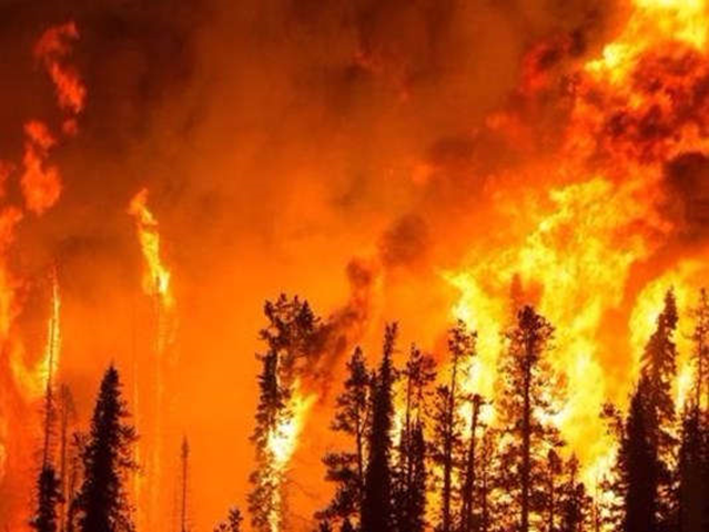 The Pioneer fire in Idaho, 1 August 2016. Photo: Boise National Forest