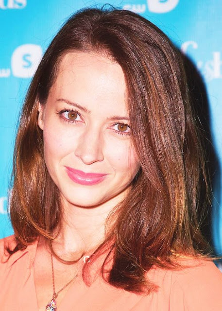 Amy Acker Awesome Beautiful Pics