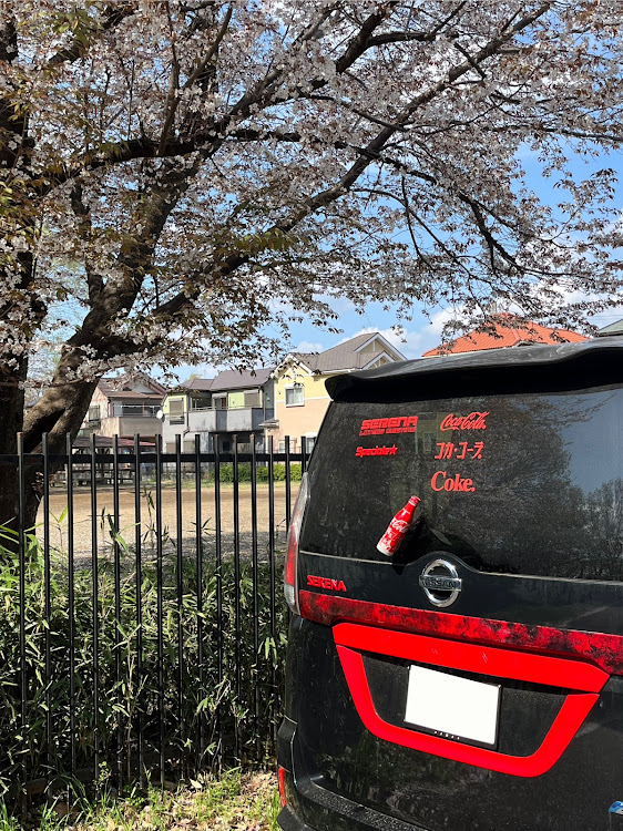 セレナの#コカコーラ・赤ホイール・サクラと愛車・4月もよろしくお願い致します🌸・桜に関するカスタム事例の投稿画像2枚目