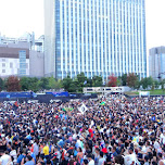 Ultra Japan 2015 in Tokyo, Japan 
