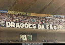 DRAGÕES F.A.O (FORÇA ATLETICANA DE OCUPAÇÃO)