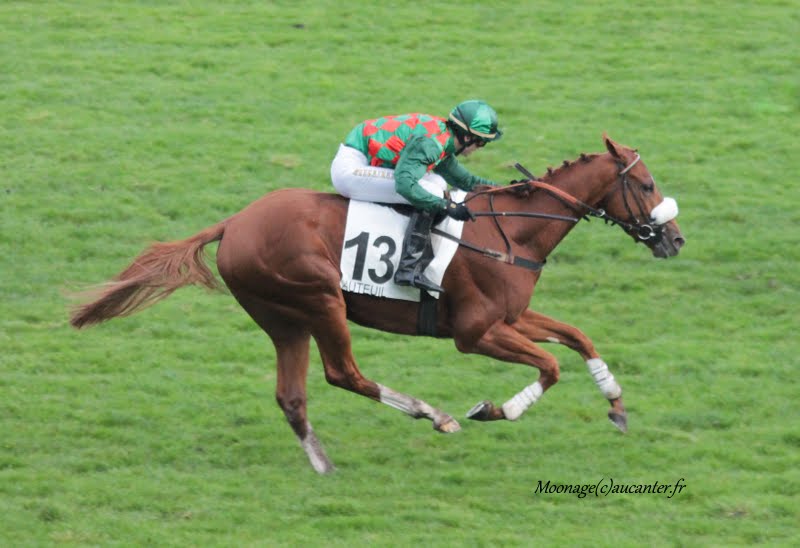 Photos Auteuil 7-11-2015 (48h de l'obstacle) - Page 2 IMG_6666