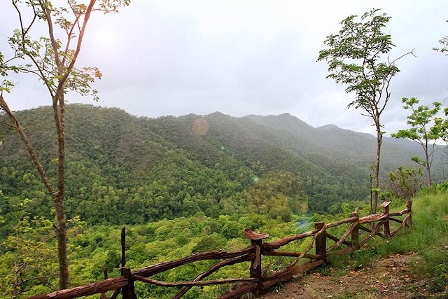 Rabeang Pasak Treehouse Resort