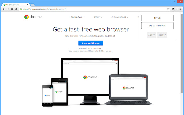 MetaCopy chrome extension