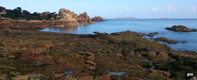 La ruta de Granito Rosa, Cabo Frehel, Fort Latte y Dinan. - TOUR DE FRANCE. (6)