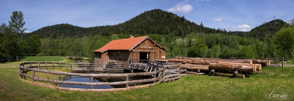 Scierie de la Hallière (série) SEBY2477-163