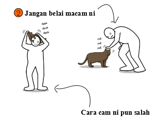 petting cat2a Cara Membelai Kucing