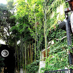 green alleyway in harajuku in Harajuku, Japan 