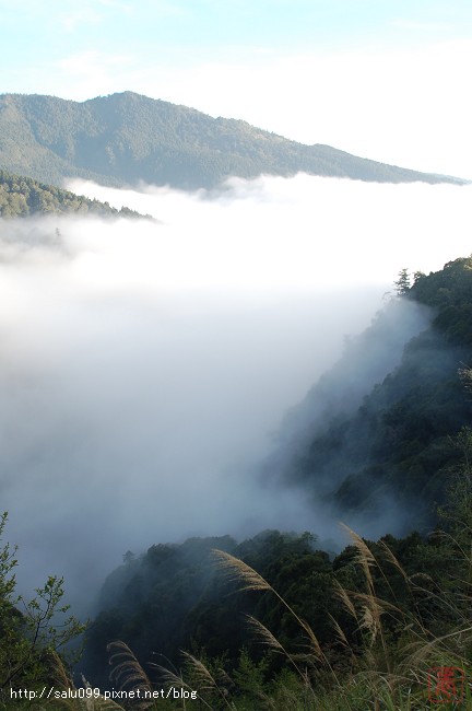 阿里山雲海