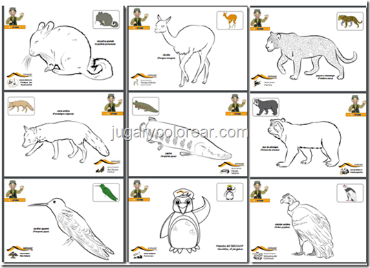 dibujos para colorear de animales de Perú jugarycolorear