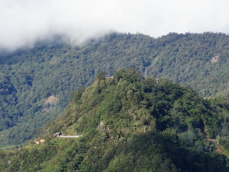 2013_1010-1012 司馬庫斯‧雪白山_269