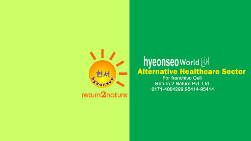 Return 2 Nature Pvt Ltd, Bank Road, 126, First Floor, Ambala Cantt, Haryana 133001, India, Wellness_Centre, state HR