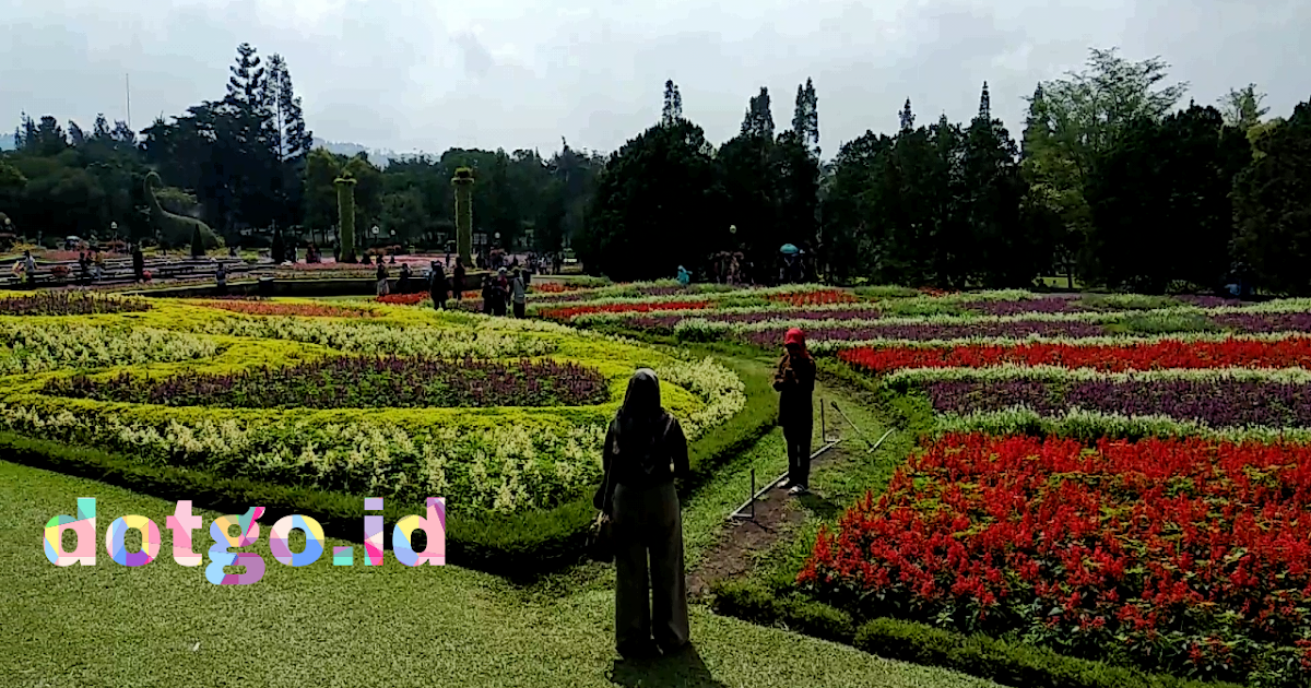 Taman Bunga Nusantara, Wisata Keindahan Bunga Nusantara di