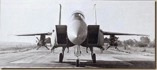 F-15 with Conformal Tanks