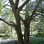 Arboretum de la Vallée-aux-Loups