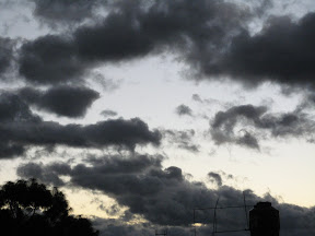 Picasa