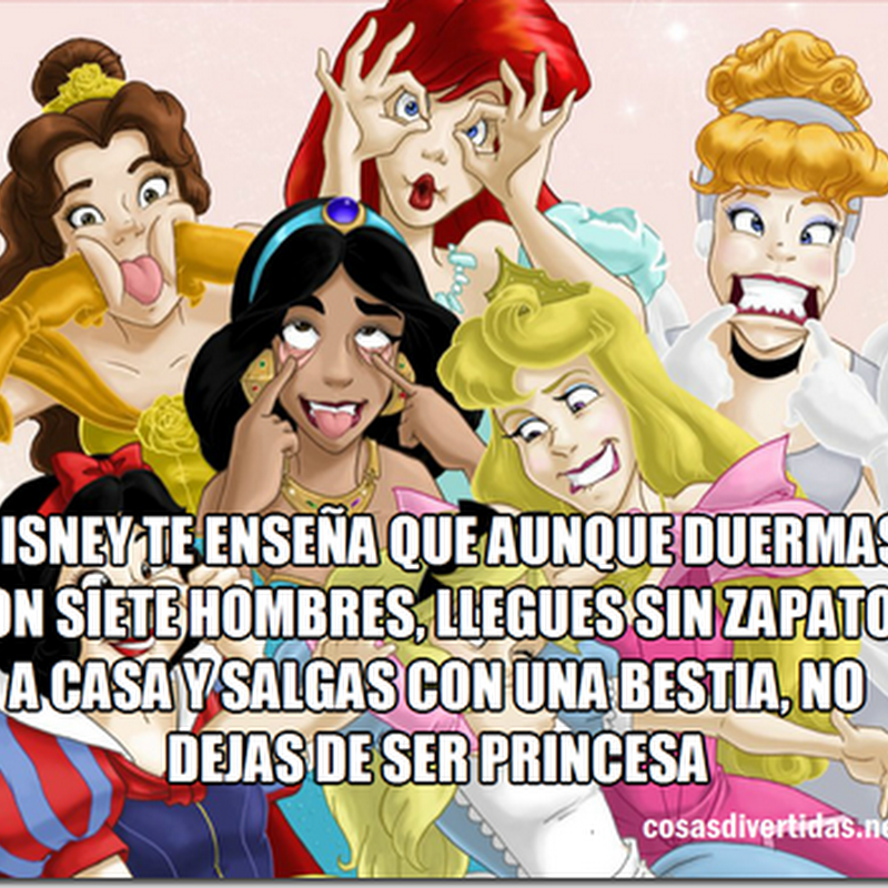 Disney me enseñó que Lo princesa NADIE te lo quita...